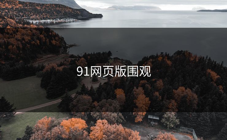 91网页版围观